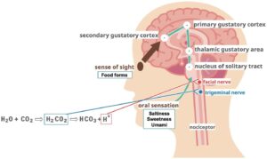 8 Motivations behind Why Your Expendable Taste Consumed