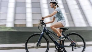 Best Fat Tire Electric Bicycles 2024