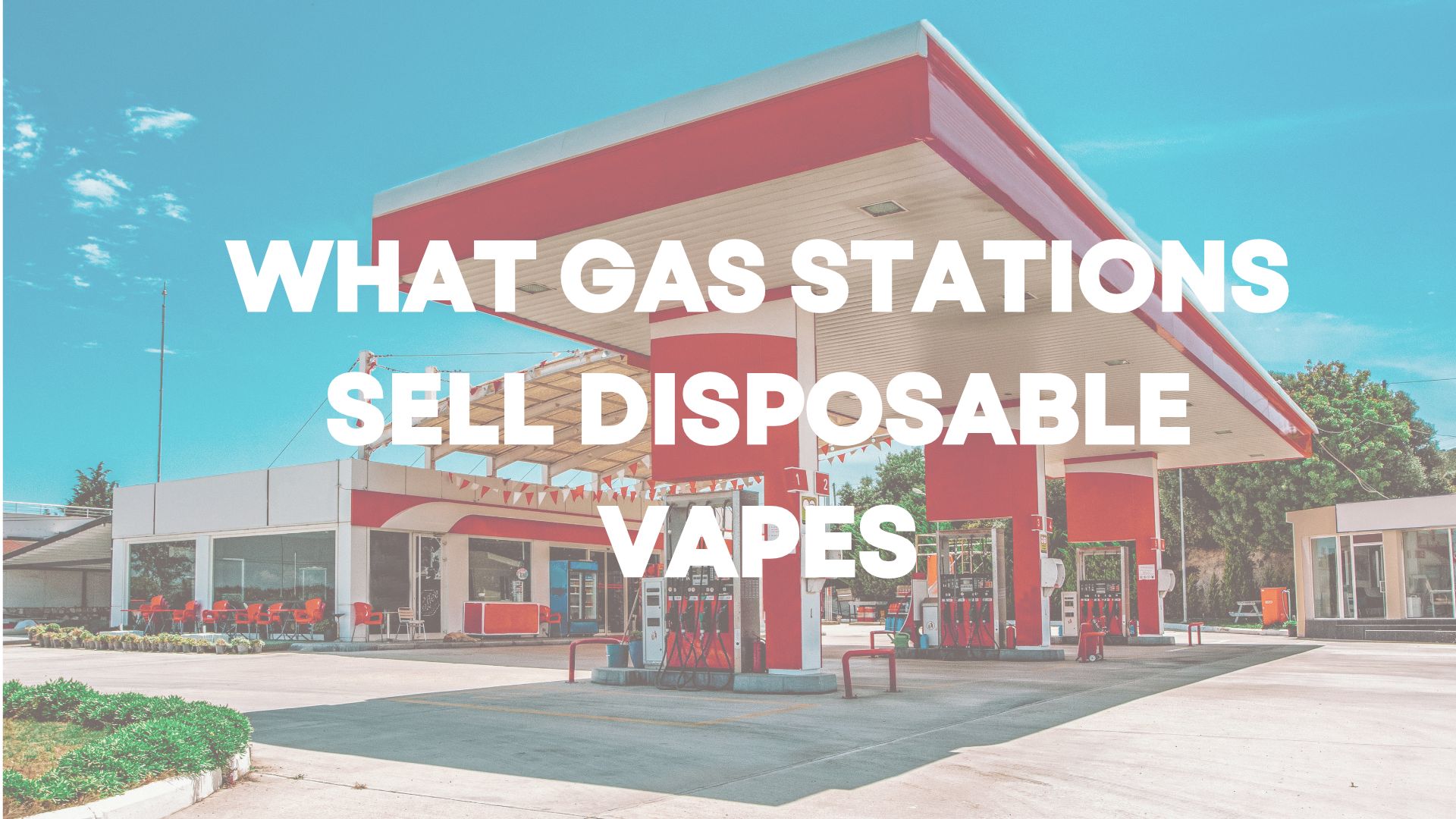 What Service stations Sell Dispensable Vapes?