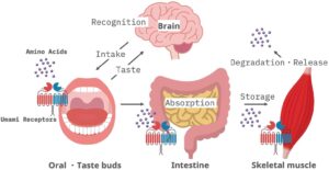 8 Motivations behind Why Your Expendable Taste Consumed