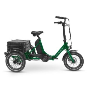 Electric Trike For Grown-ups