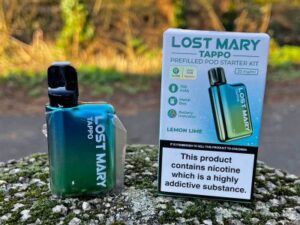 5 Justifications for Why Your Lost Mary Not Charging (Light Variety Implications)